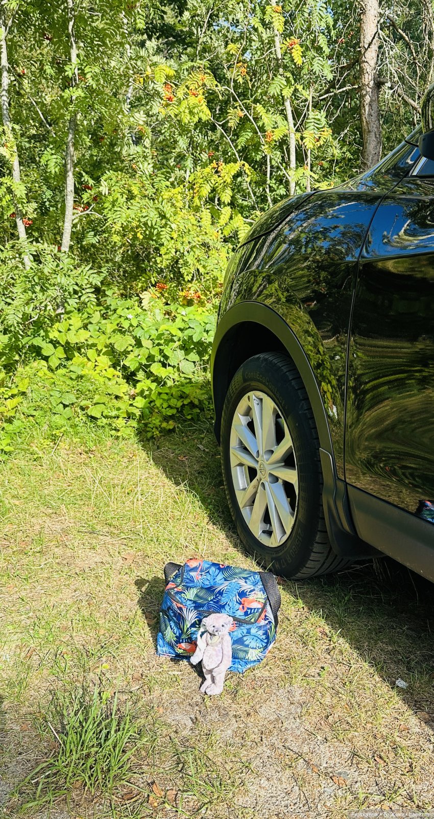 Мишка Лав ❤️❤️❤️ Летние прогулки ☀️🌊🎉