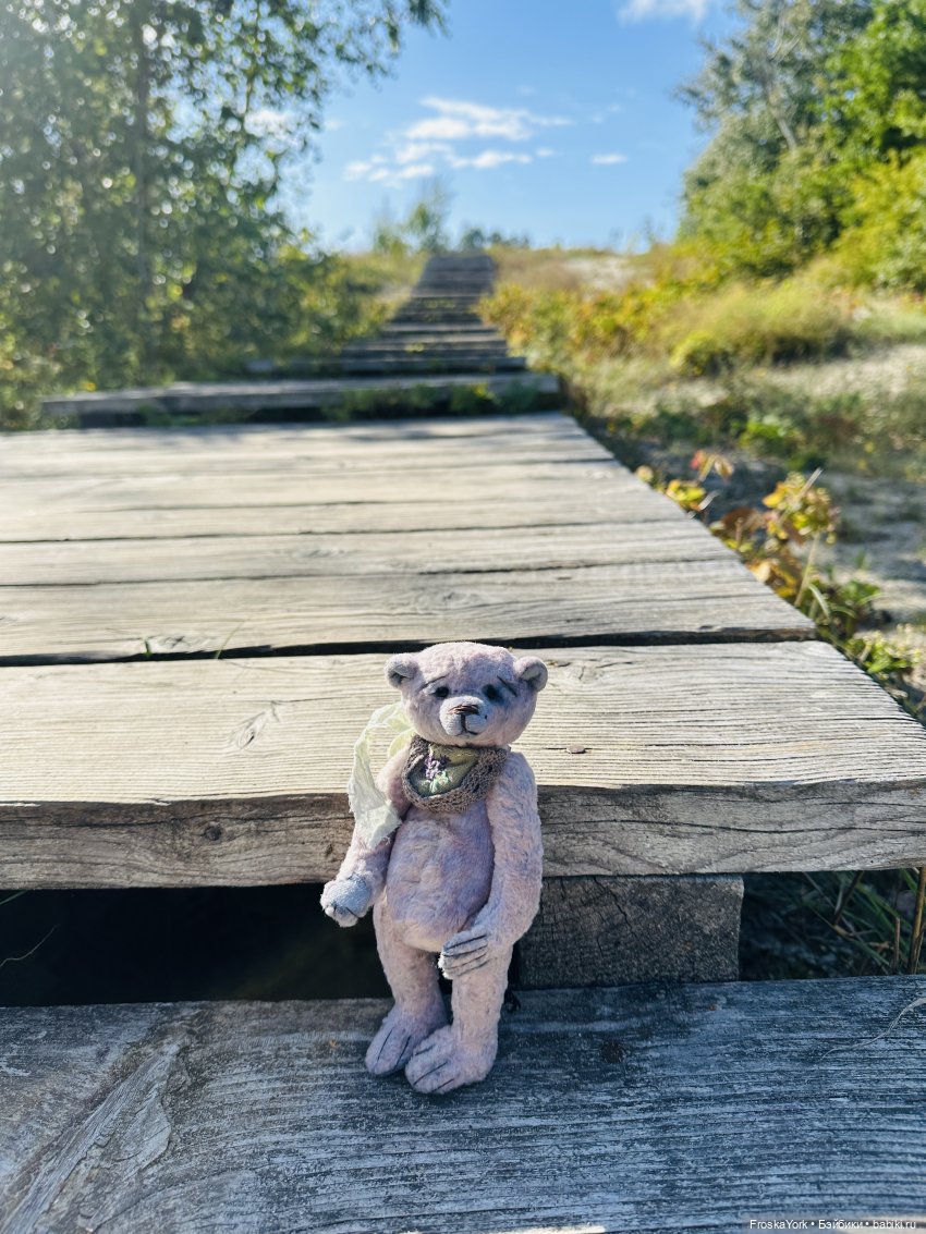 Мишка Лав ❤️❤️❤️ Летние прогулки ☀️🌊🎉 (фото 3)