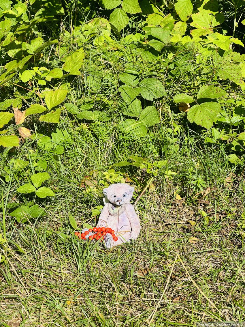 Мишка Лав ❤️❤️❤️ Летние прогулки ☀️🌊🎉 (фото 8)