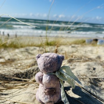 Мишка Лав ❤️❤️❤️ Летние прогулки ☀️🌊🎉