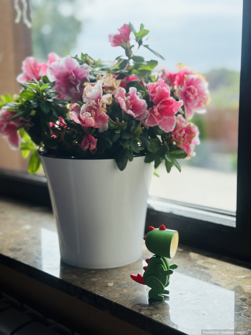 Топик ни о чём😅❤️🎉 — Интересные игрушки и фигурки (разное): редкие (фото 4)