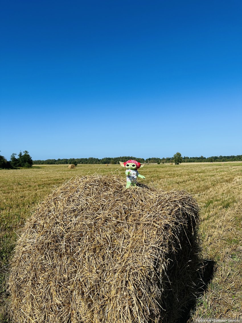 Мой летний малыш Беби-Йода😅❤️🎉 (фото 5)