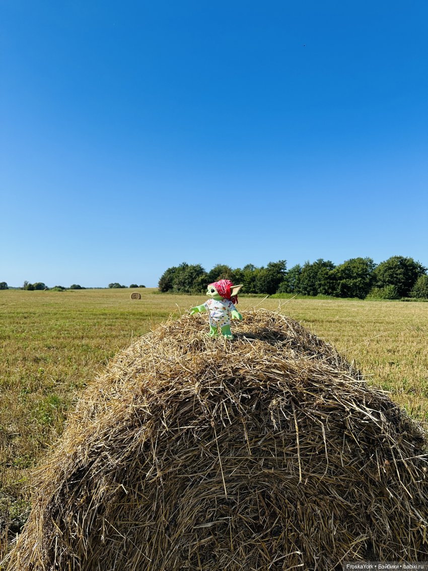 Мой летний малыш Беби-Йода😅❤️🎉 (фото 6)