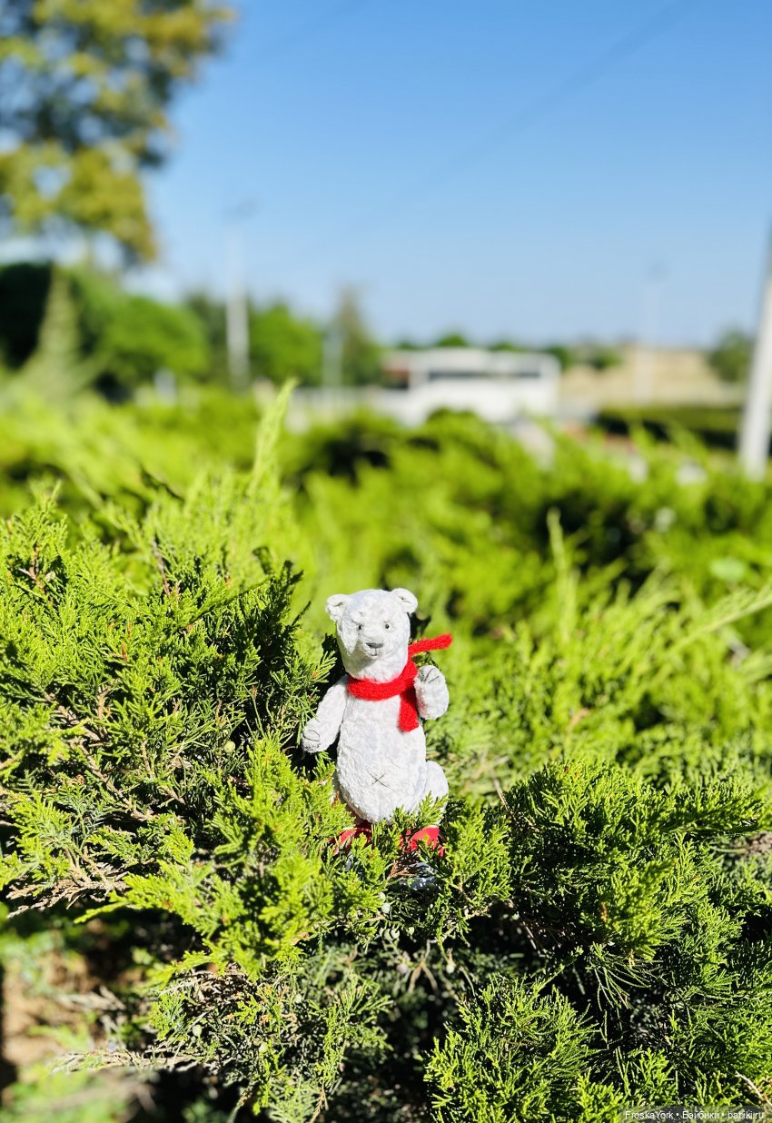 К нам приехал Серёга💖🧸😅 — Домашние фото авторских игрушек: Тедди (фото 10)