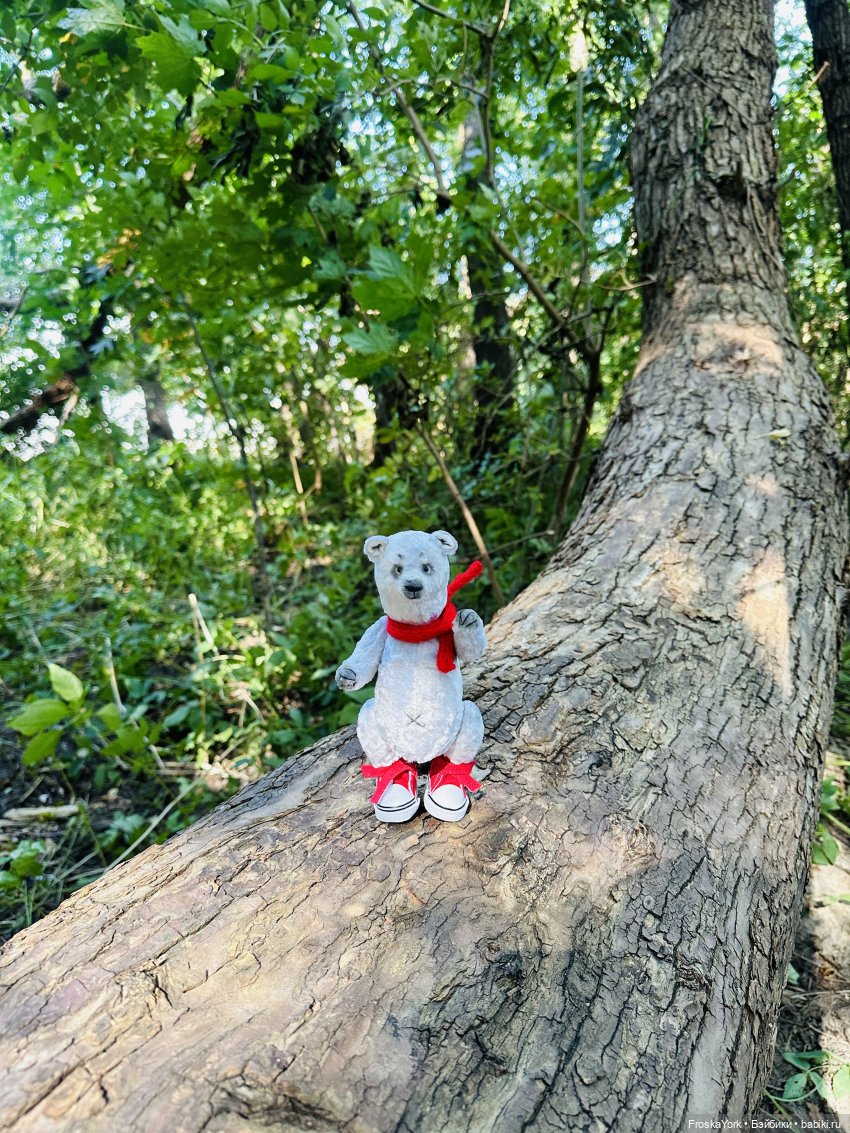 К нам приехал Серёга💖🧸😅 — Домашние фото авторских игрушек: Тедди