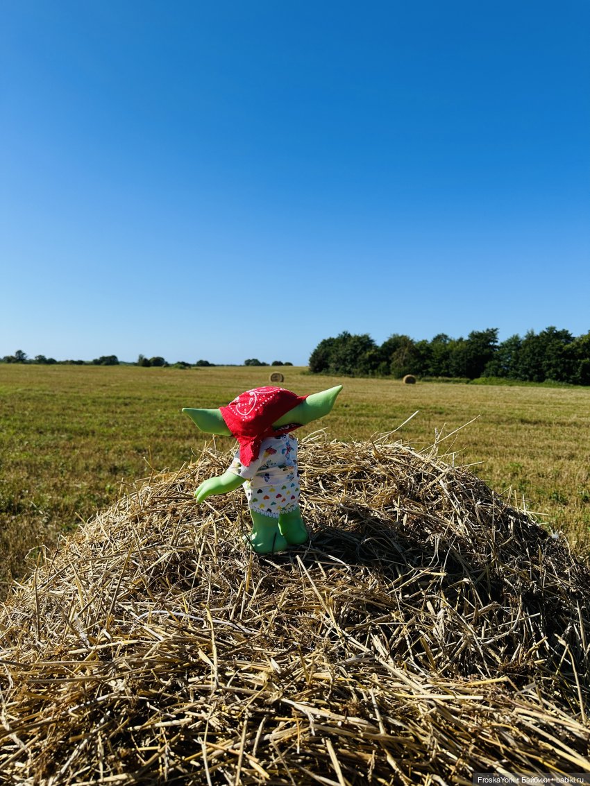 Мой летний малыш Беби-Йода😅❤️🎉 (фото 7)