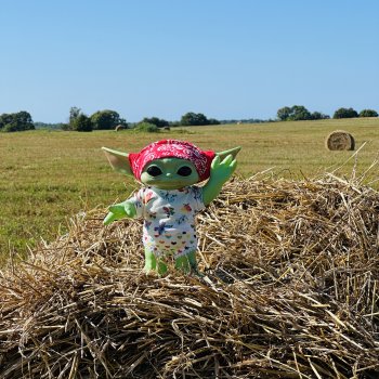 Мой летний малыш Беби-Йода😅❤️🎉