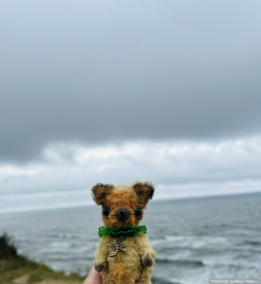 Тётя-Лошадь, Айка и Лисик❤️🍁Наш завтрак у морька🌊🍁🌧️