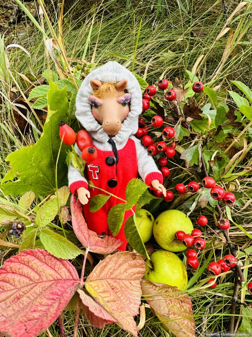 Тётя-Лошадь, Айка и Лисик❤️🍁Наш завтрак у морька🌊🍁🌧️ (фото 7)