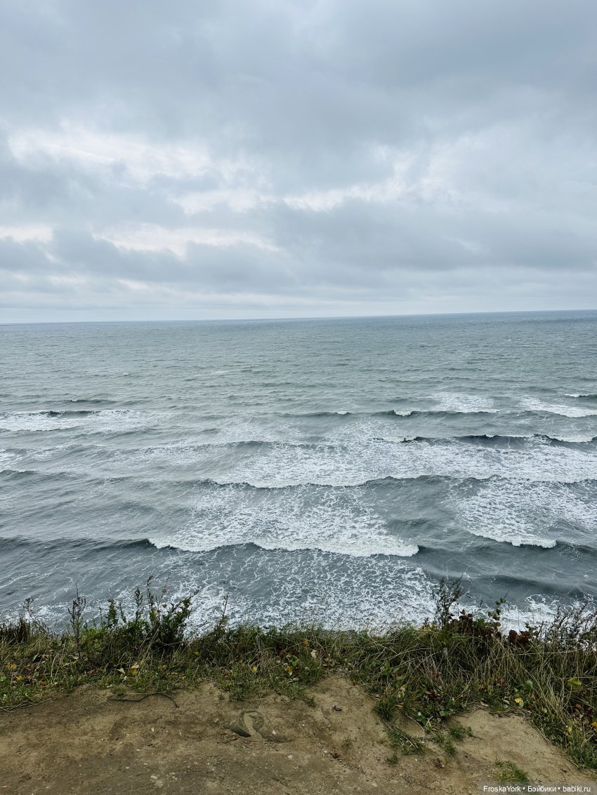 Тётя-Лошадь, Айка и Лисик❤️🍁Наш завтрак у морька🌊🍁🌧️ (фото 8)