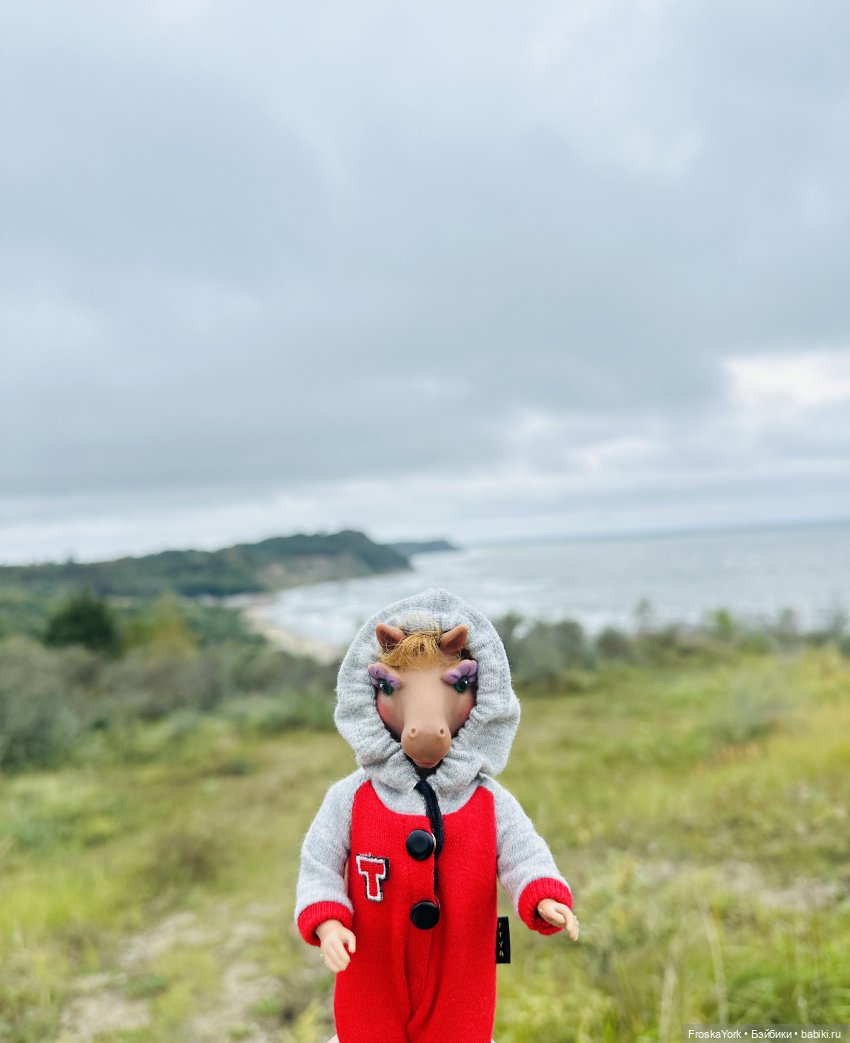 Тётя-Лошадь, Айка и Лисик❤️🍁Наш завтрак у морька🌊🍁🌧️ (фото 2)