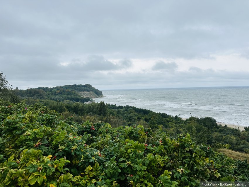 Тётя-Лошадь, Айка и Лисик❤️🍁Наш завтрак у морька🌊🍁🌧️ (фото 6)