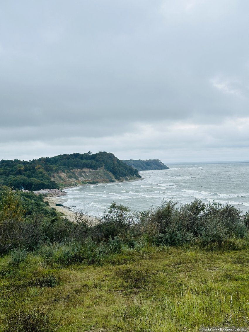 Тётя-Лошадь, Айка и Лисик❤️🍁Наш завтрак у морька🌊🍁🌧️ (фото 4)