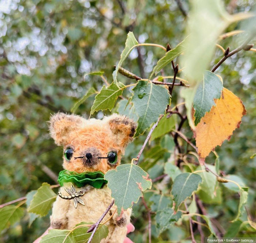 Тётя-Лошадь, Айка и Лисик❤️🍁Наш завтрак у морька🌊🍁🌧️