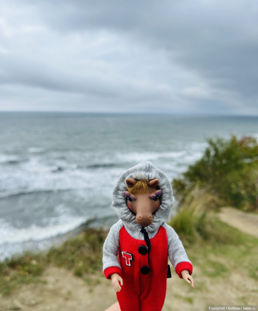 Тётя-Лошадь, Айка и Лисик❤️🍁Наш завтрак у морька🌊🍁🌧️ (фото 5)