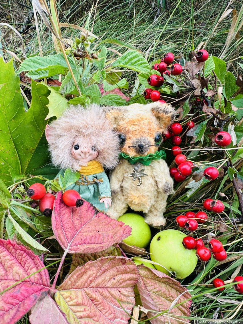 Тётя-Лошадь, Айка и Лисик❤️🍁Наш завтрак у морька🌊🍁🌧️ (фото 10)