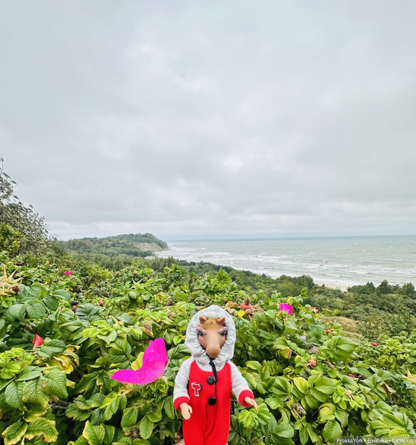 Тётя-Лошадь, Айка и Лисик❤️🍁Наш завтрак у морька🌊🍁🌧️