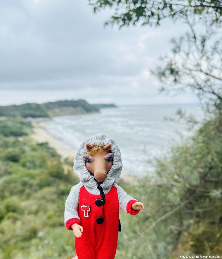 Тётя-Лошадь, Айка и Лисик❤️🍁Наш завтрак у морька🌊🍁🌧️ (фото 3)
