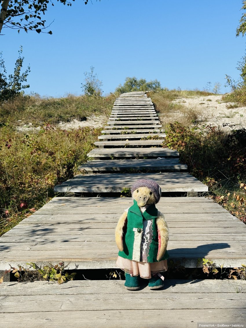 Путешествие маленькой уточки🌊🦆❤️🎉 (фото 6)