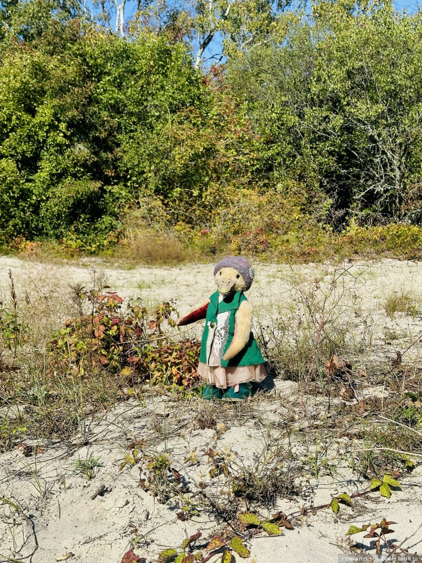 Путешествие маленькой уточки🌊🦆❤️🎉 (фото 4)