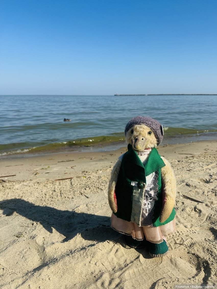 Путешествие маленькой уточки🌊🦆❤️🎉