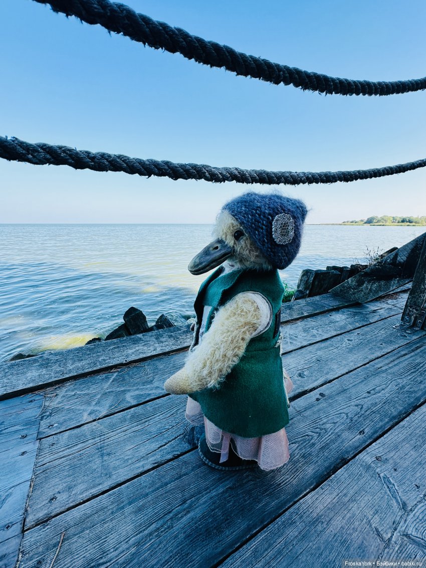 Путешествие маленькой уточки🌊🦆❤️🎉