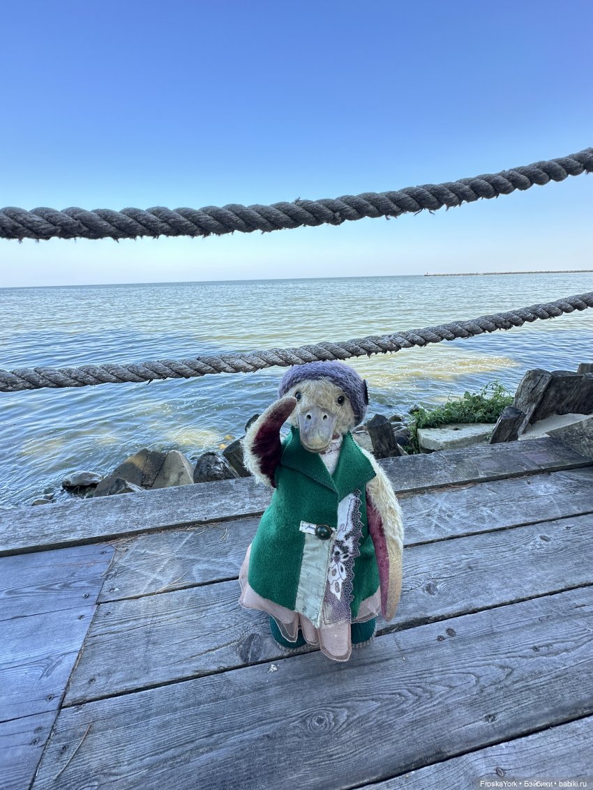 Путешествие маленькой уточки🌊🦆❤️🎉