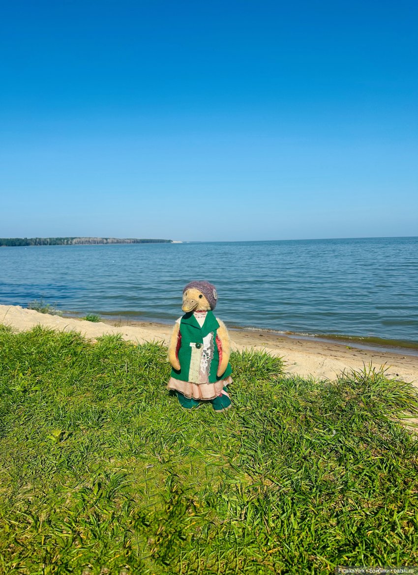 Путешествие маленькой уточки🌊🦆❤️🎉