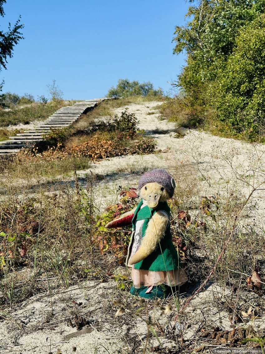 Путешествие маленькой уточки🌊🦆❤️🎉 (фото 3)