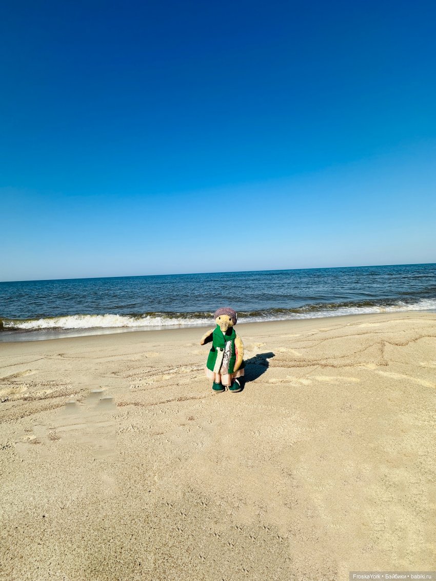 Путешествие маленькой уточки🌊🦆❤️🎉 (фото 7)