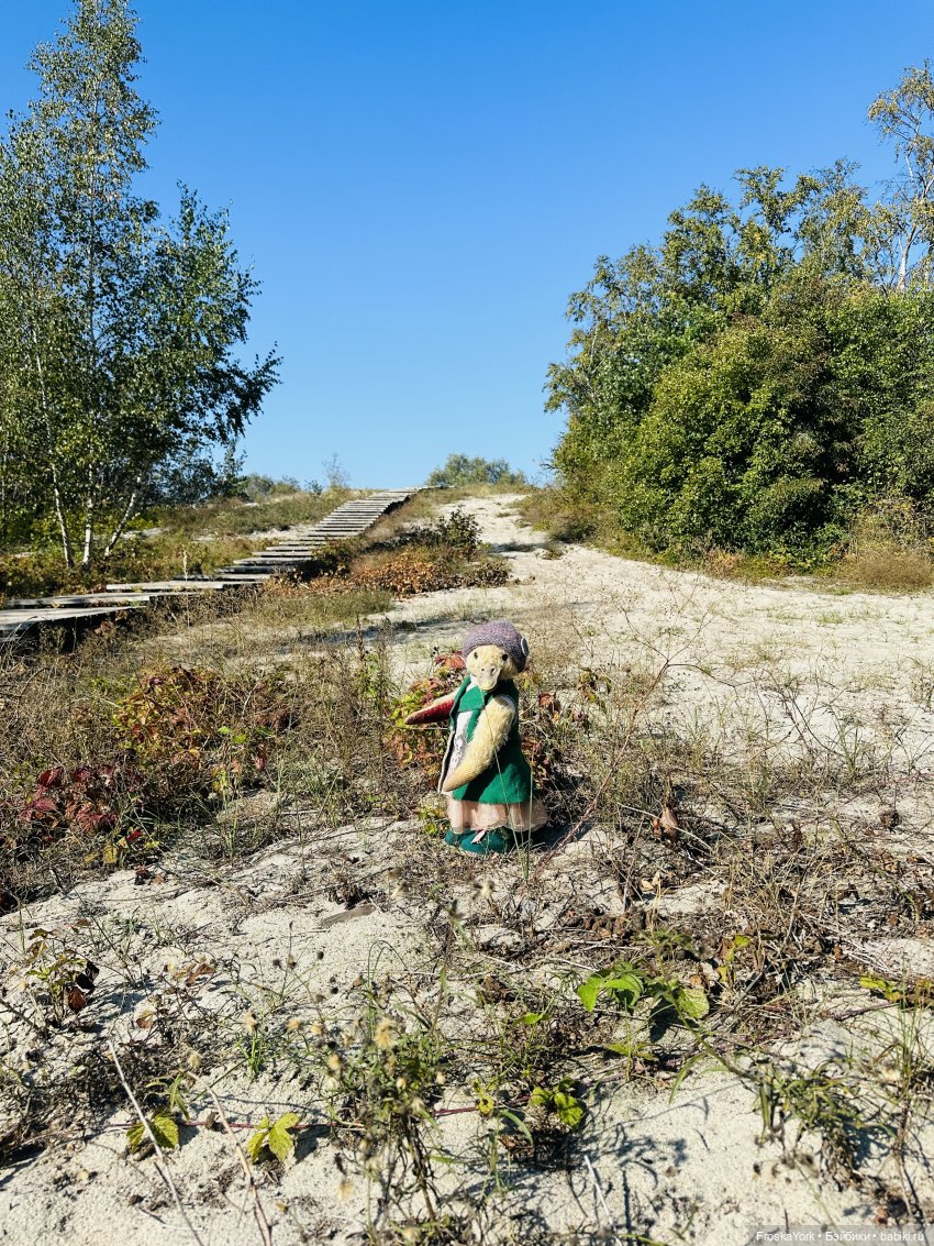 Путешествие маленькой уточки🌊🦆❤️🎉 (фото 2)