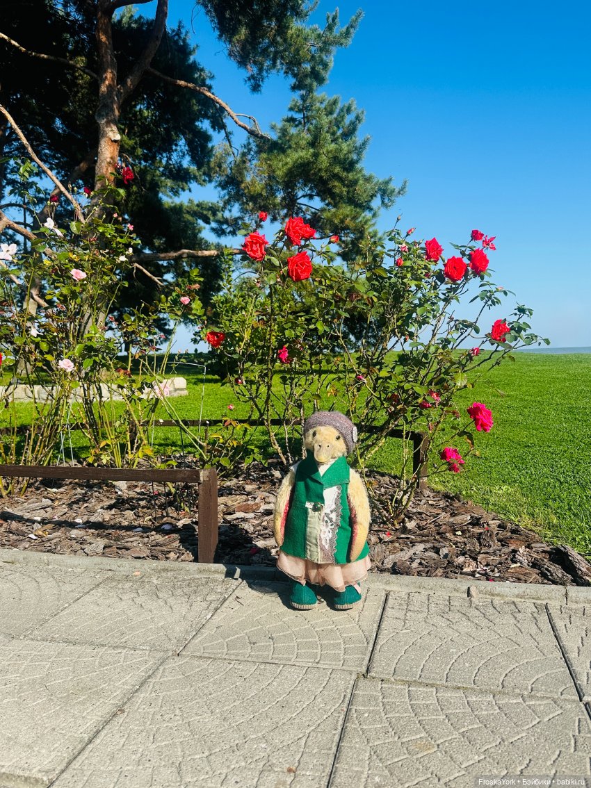 Путешествие маленькой уточки🌊🦆❤️🎉