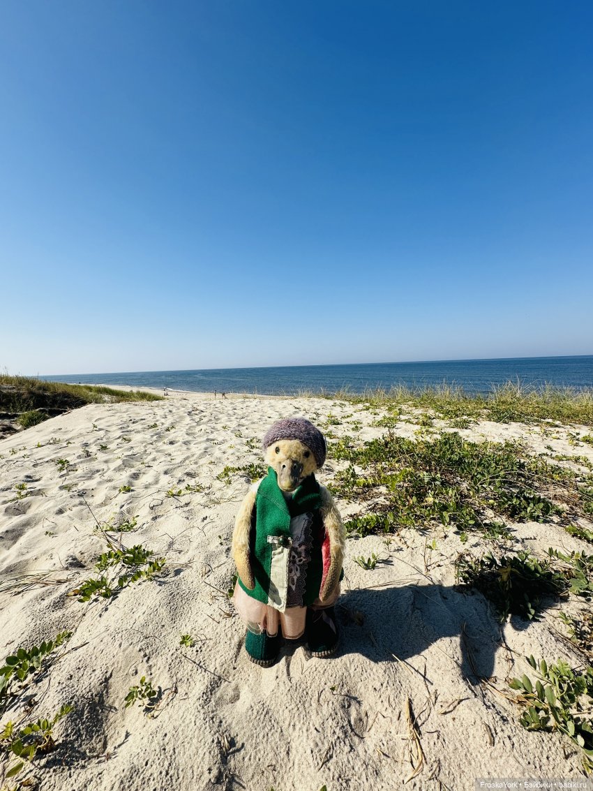 Путешествие маленькой уточки🌊🦆❤️🎉 (фото 9)