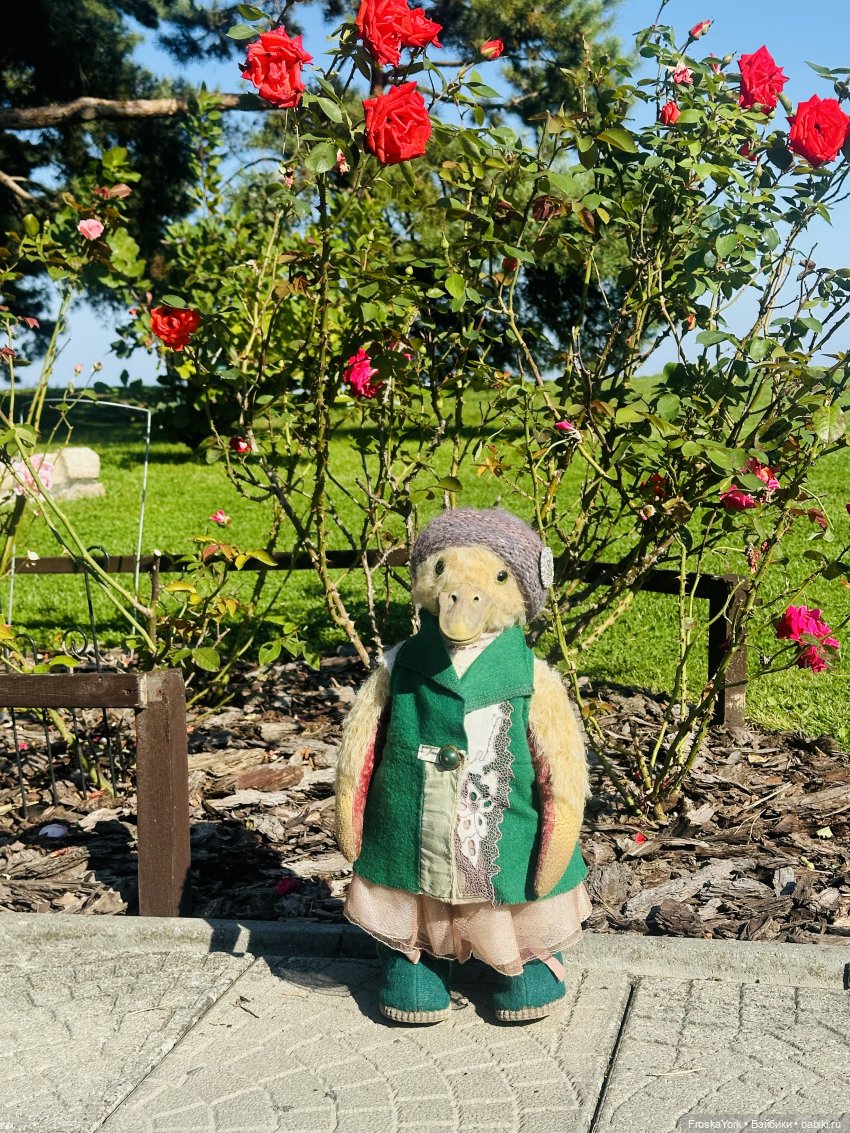 Путешествие маленькой уточки🌊🦆❤️🎉