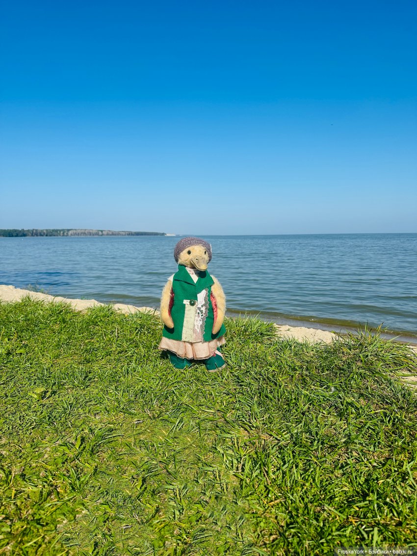 Путешествие маленькой уточки🌊🦆❤️🎉
