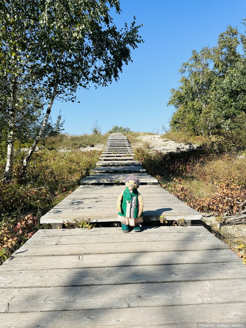 Путешествие маленькой уточки🌊🦆❤️🎉 (фото 5)