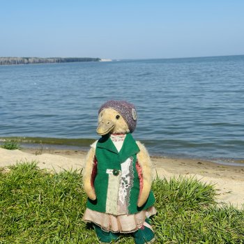 Путешествие маленькой уточки🌊🦆❤️🎉