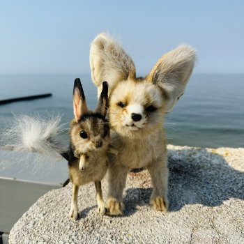 Фенёк Терентий и тушканчик Илларион😅100 дней до Нового Года🙌🎉🎄