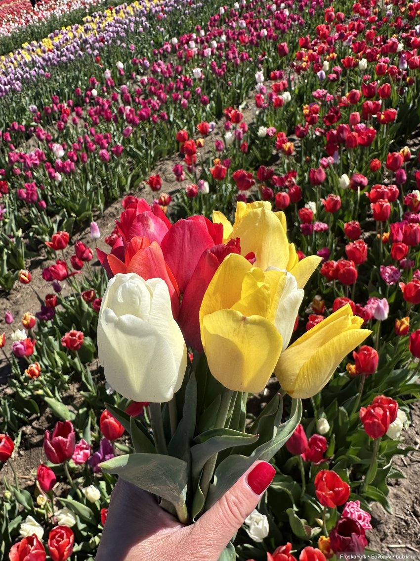 Весенний Цвергопад💖💖💖 — Куклы Zwergnase (Цвергназе/Цверги): фото