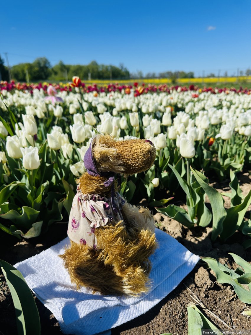 Весенний Цвергопад💖💖💖 — Куклы Zwergnase (Цвергназе/Цверги): фото