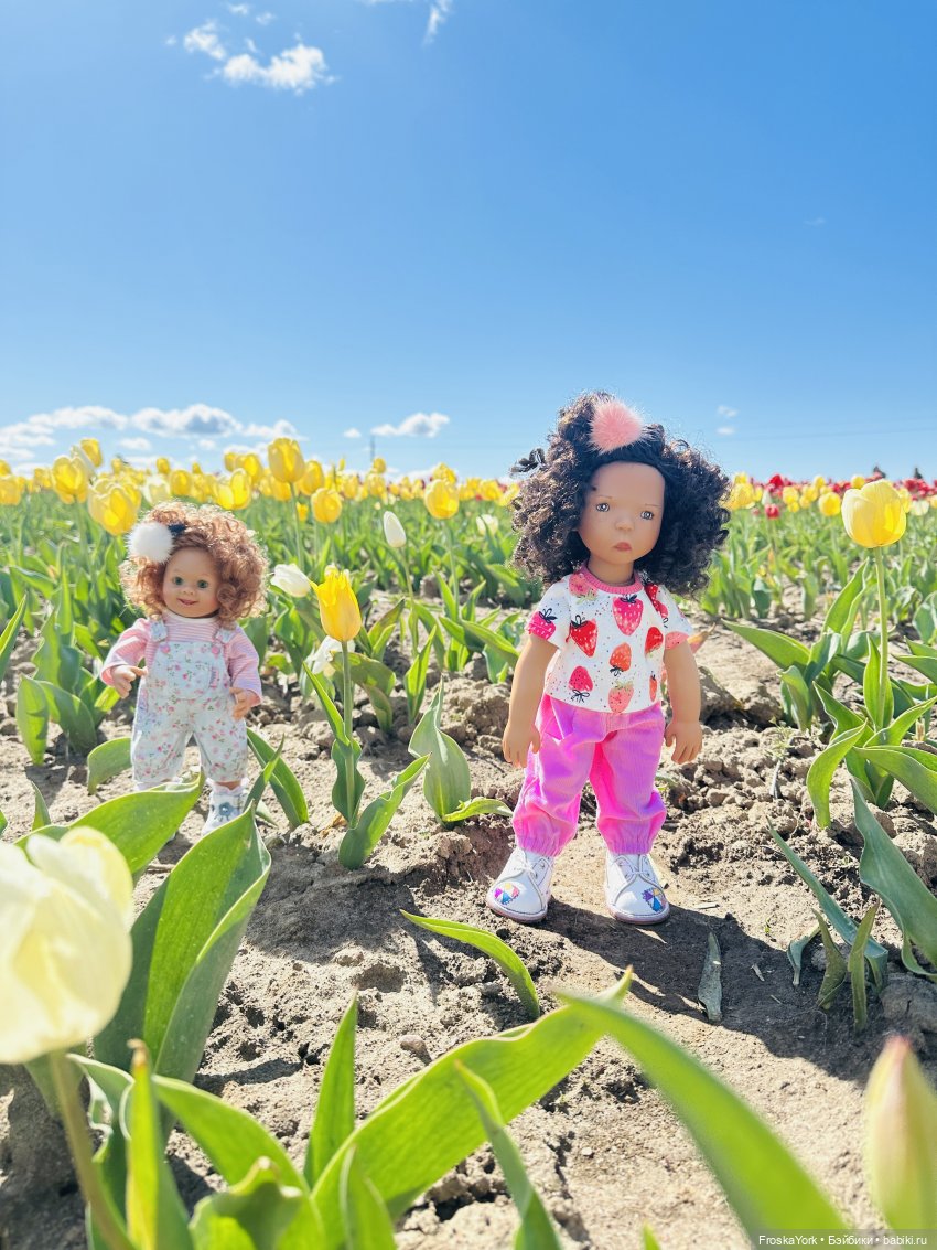 Трое из ларца на тюльпановом поле🌷🌷🌷 (фото 7)