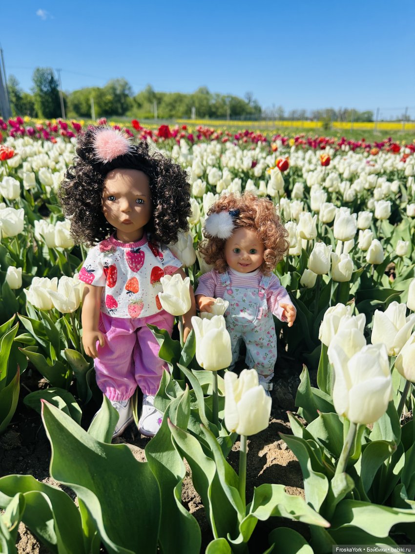 Трое из ларца на тюльпановом поле🌷🌷🌷 (фото 3)