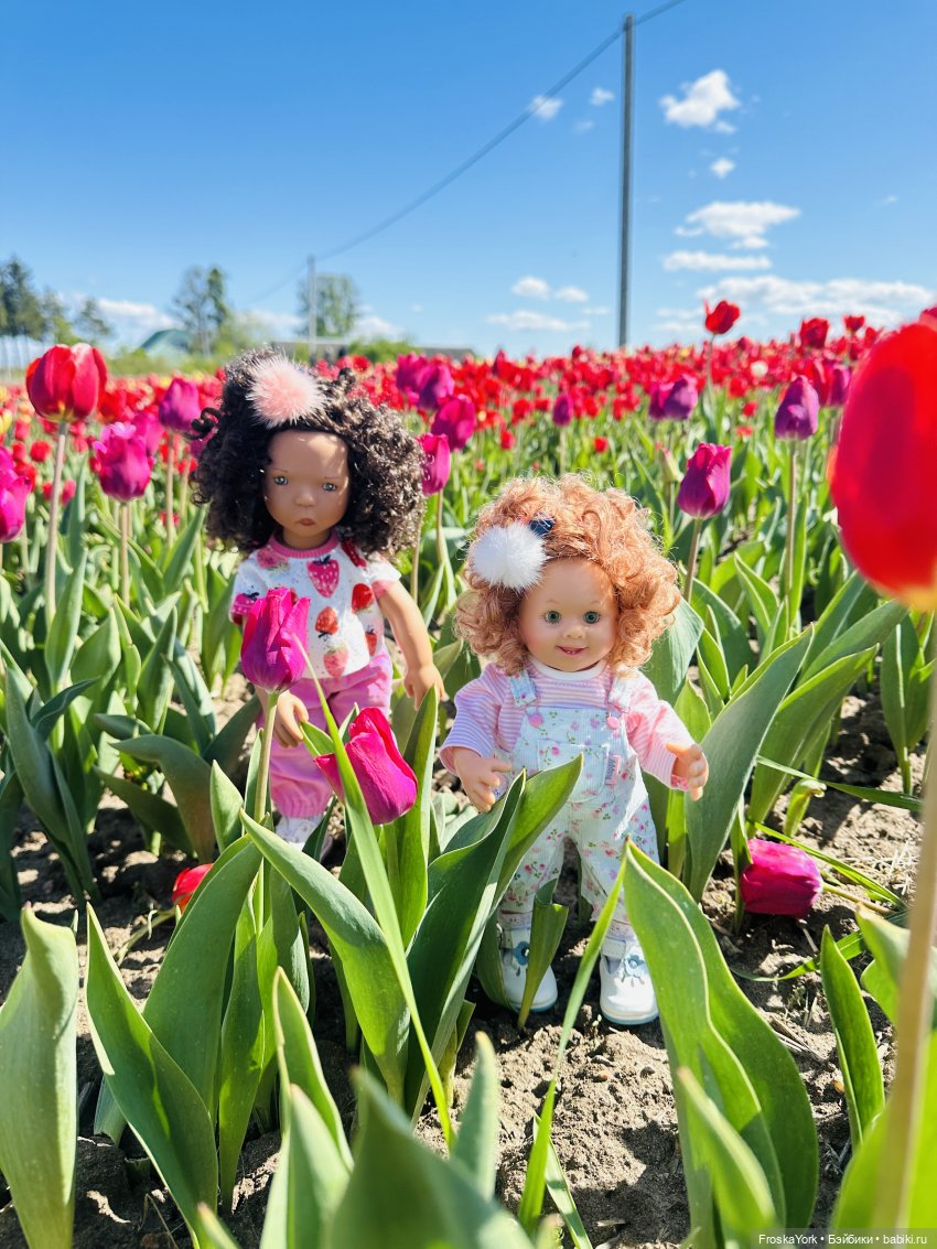 Трое из ларца на тюльпановом поле🌷🌷🌷 (фото 4)