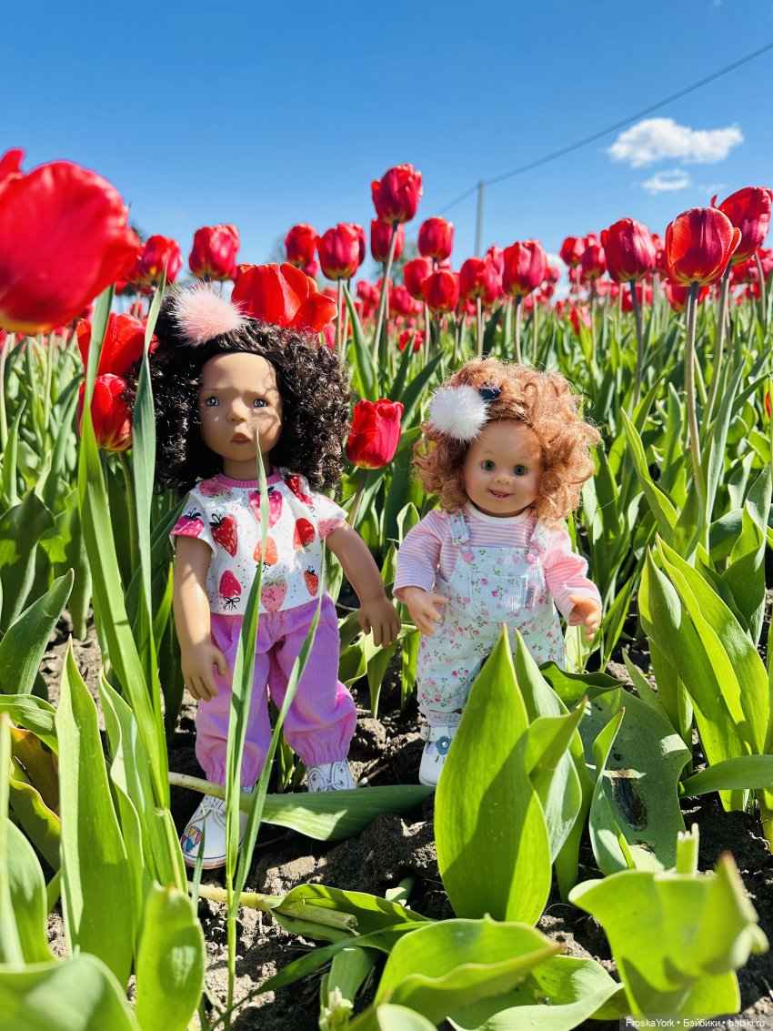 Трое из ларца на тюльпановом поле🌷🌷🌷 (фото 6)