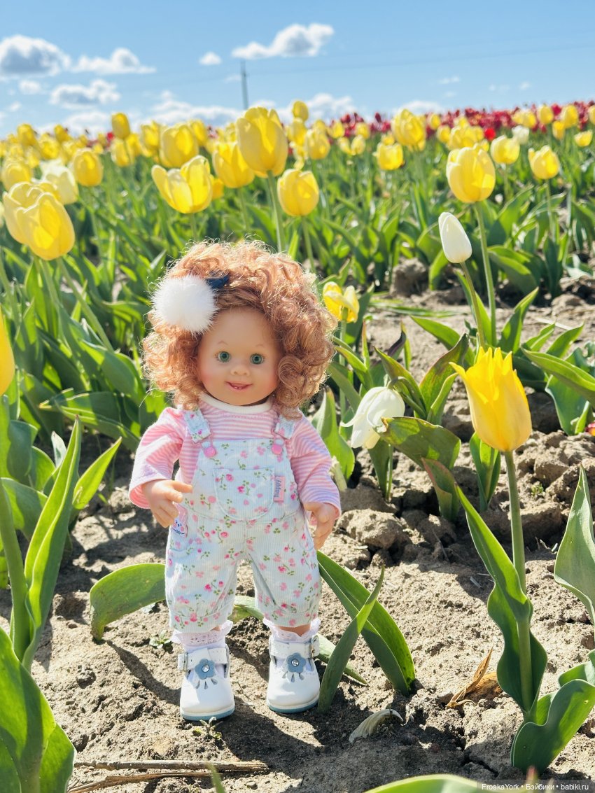 Трое из ларца на тюльпановом поле🌷🌷🌷 (фото 8)