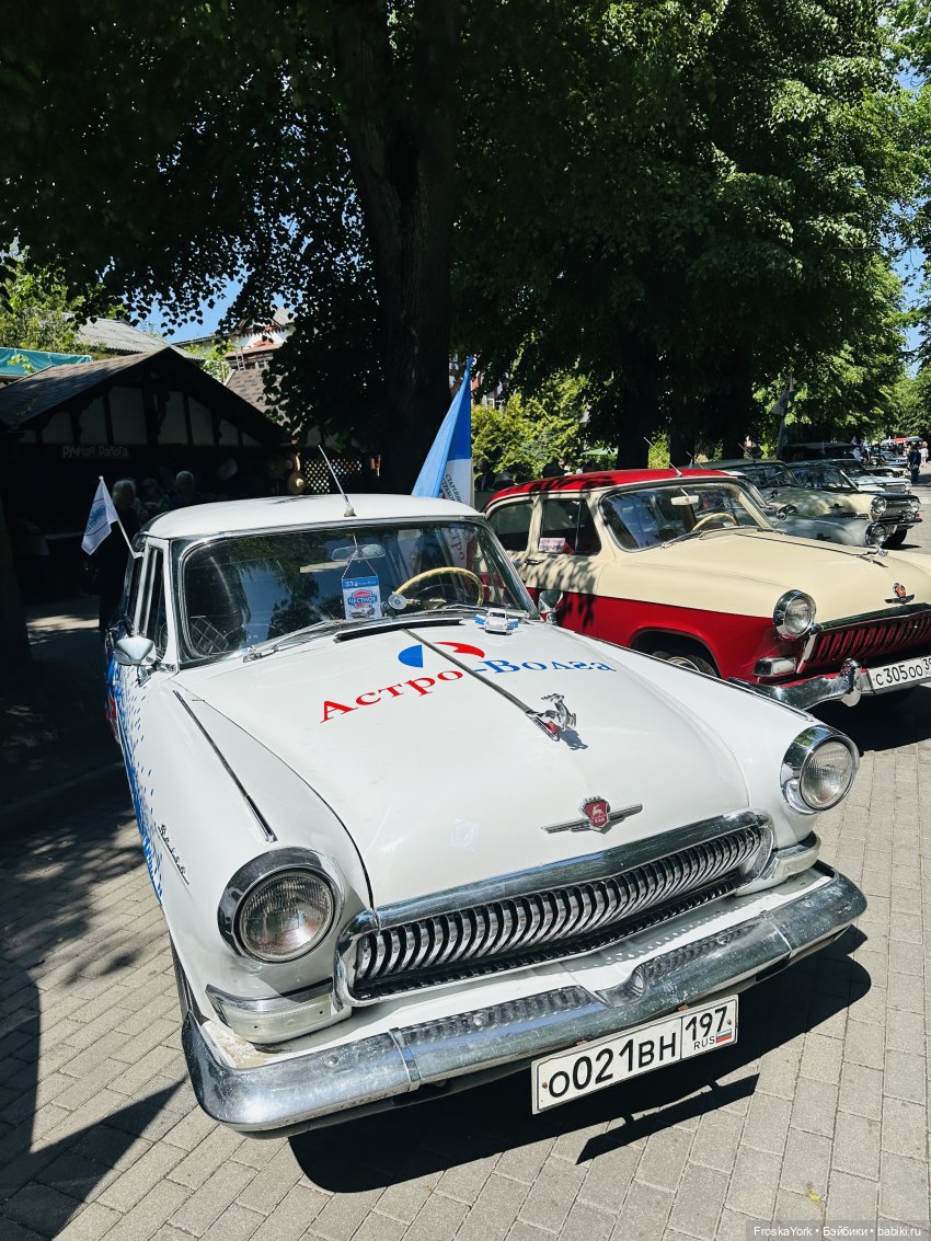 Первая прогулка солнышка-Мелисски💃😍 (фото 5)