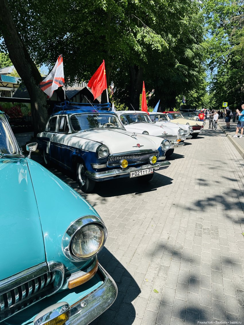 Первая прогулка солнышка-Мелисски💃😍 (фото 4)