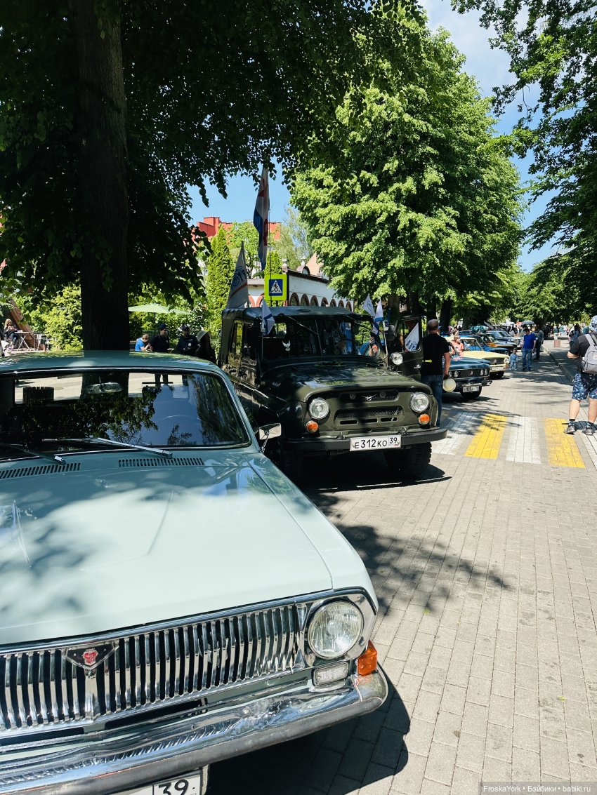 Первая прогулка солнышка-Мелисски💃😍 (фото 8)