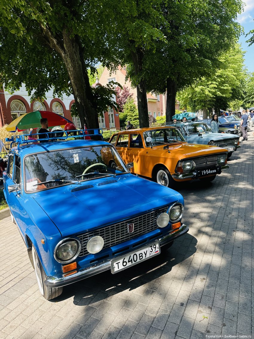 Первая прогулка солнышка-Мелисски💃😍 (фото 6)