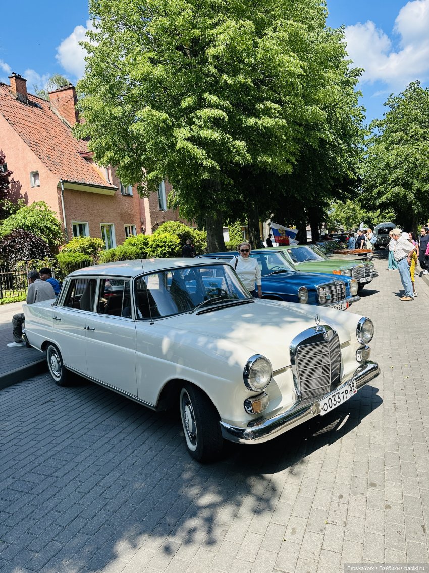 Первая прогулка солнышка-Мелисски💃😍 (фото 9)